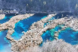 「5日」九黄四毕达 （天天发）