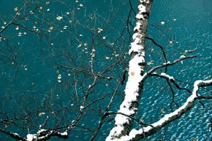 2.20初四「2日 | 休闲」松坪沟 