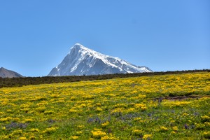 格聂大环线7日 | 最后的香巴拉 格聂神山经典徒步穿越7日