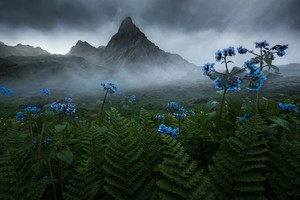 雨崩+南极洛6日 | 2-8人小团，云南世外桃源，超小众徒步之旅