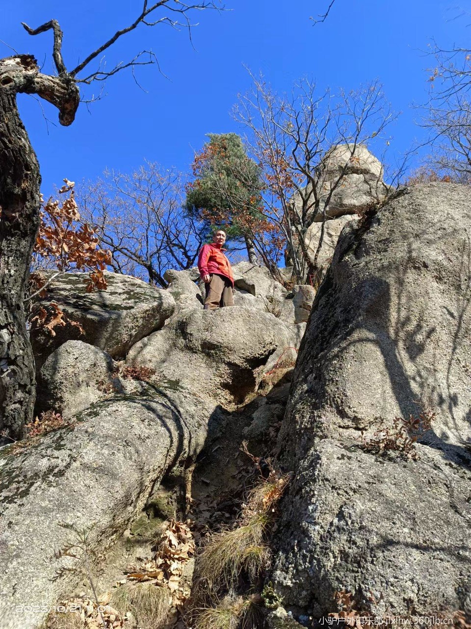 z3xtvwmvmmsDJj0BvlF6d4hhlsaBQ11R82MD46-9B2eaf0WjUSnoibSCegOSGUeX