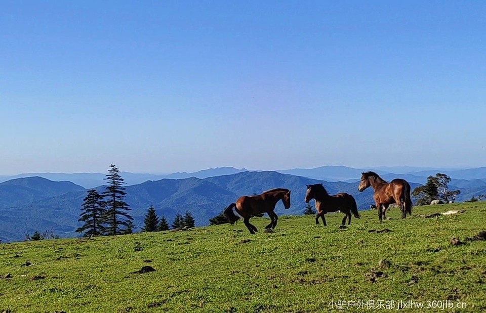 Lb39WYp8FyQ67O3eIiwvvv_xItixteIGGv1oTWCMFwvFb-bxfCi5AYjfLQczHLob