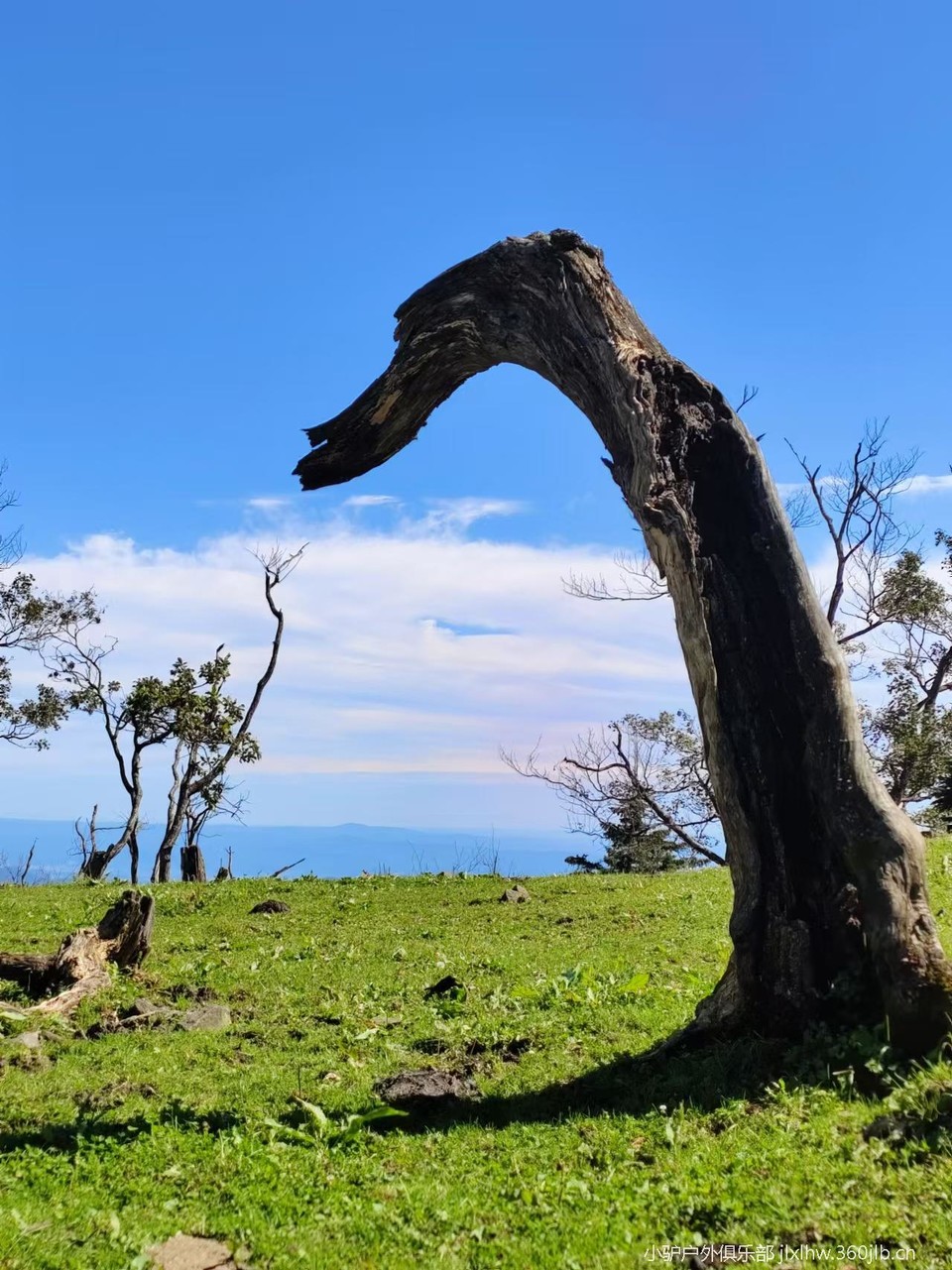 Lb39WYp8FyQ67O3eIiwvvm5kwJ_IZ2zM6OhK_zi7JIqrlXlr8ImA-mPyUAdyKniq