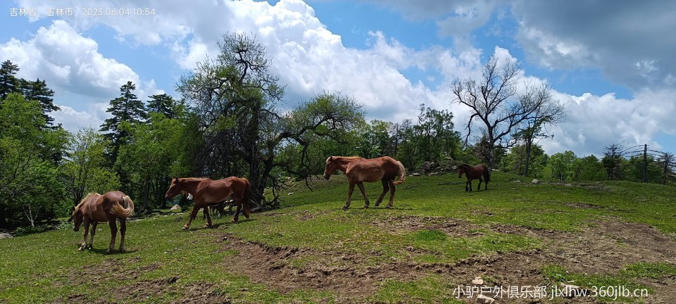 4u99b-dxrtJKHjy1Ctwxi7RblaRglBjppHLsu4aKIxRltmHbMlCg8y1n3mAx44wU