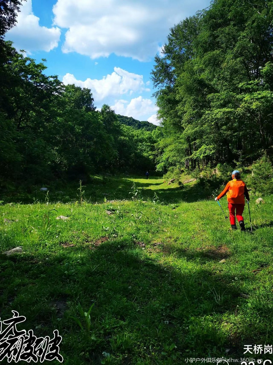 MmRxl34Hpy2I90bZu1EDB0mJ3mu0OG3D33q3_avgy85P3SwJYF_BqqknpVgUGTHq