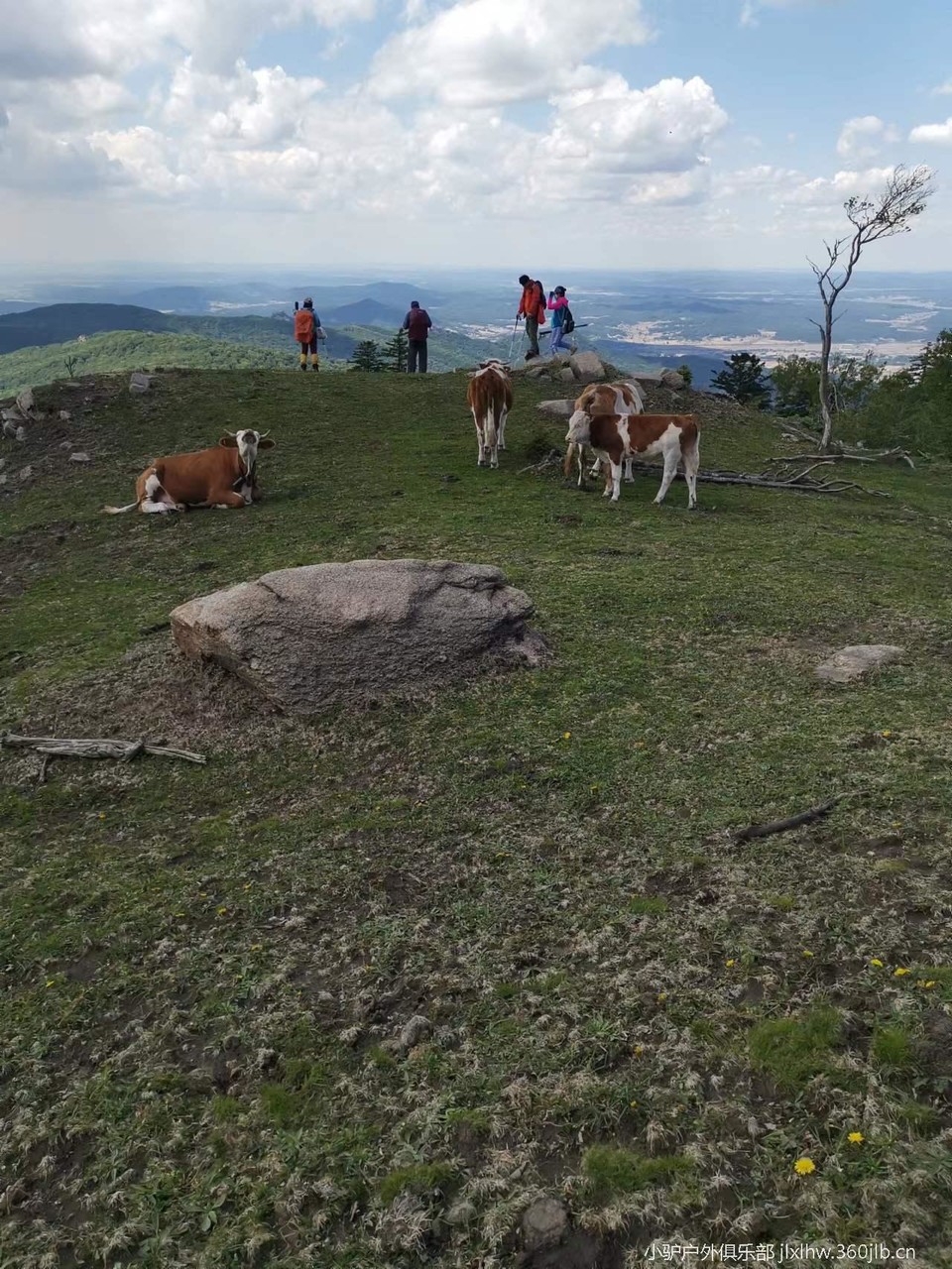 MmRxl34Hpy2I90bZu1EDB7-dxWu0k90C-yQ8t6nsveC3ZzlSc7TQdjOBKESsXEQF