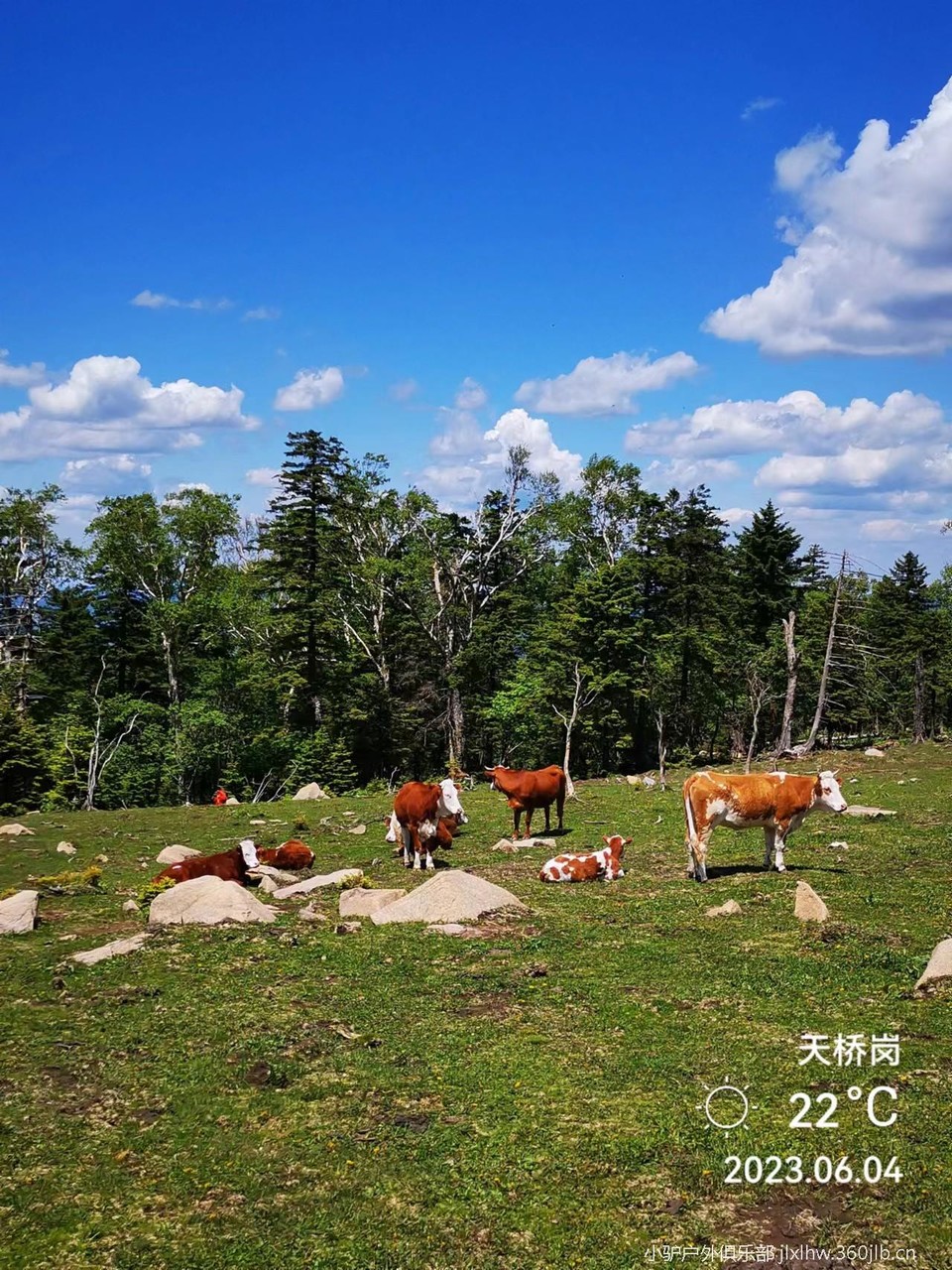 MmRxl34Hpy2I90bZu1EDB8XwNhiKVZTGB2nzDBJbVK16_p0HTQDzT-4aZwBlq2Pc