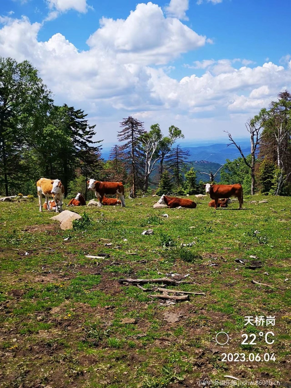 MmRxl34Hpy2I90bZu1EDBzicoGu_qHUGwtgxpoKB7utQJFW22Vlz2WhyMWigdH_y