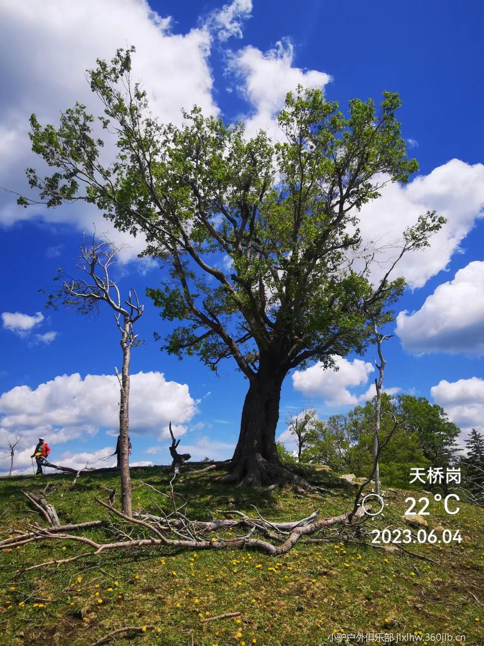 MmRxl34Hpy2I90bZu1EDB2M1xk1EGYEQqA-bxjKMBtW1kRG1b6rLygqwD5xwBWeN