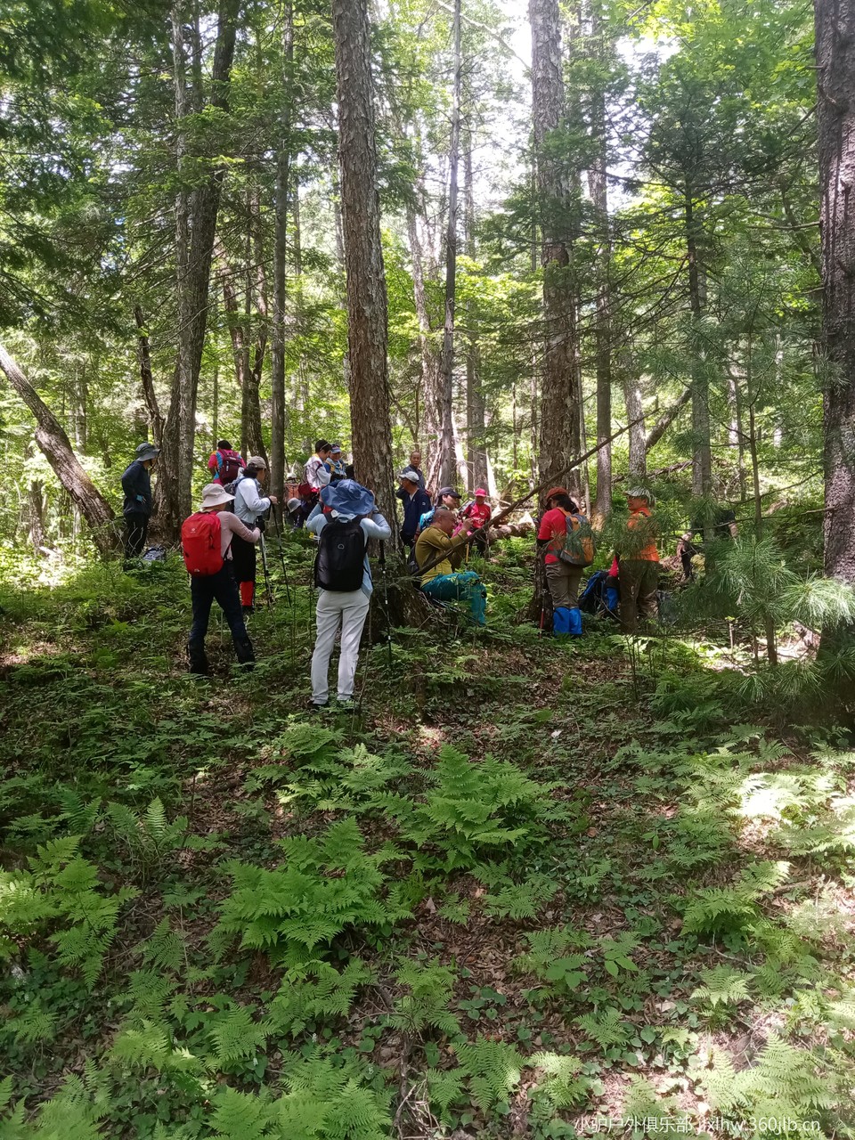 j7ZYCuSw1J6leKS2fBGgN61cQEeQeXakzFncDsI56pe8DmJBjmzyUDItLuQDJrMz