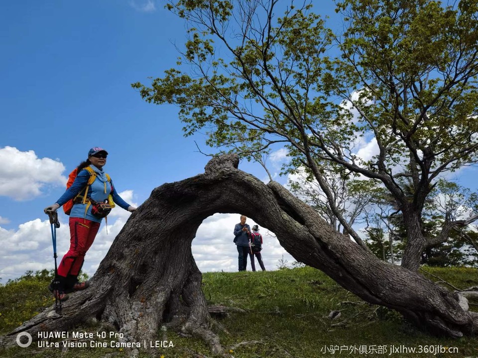 _W2d6DEkPrE5Yp189ejE7buOF_YLaXm9-6Clk0RL_7MeDSv82C2t9ZXQ98kOLTxy