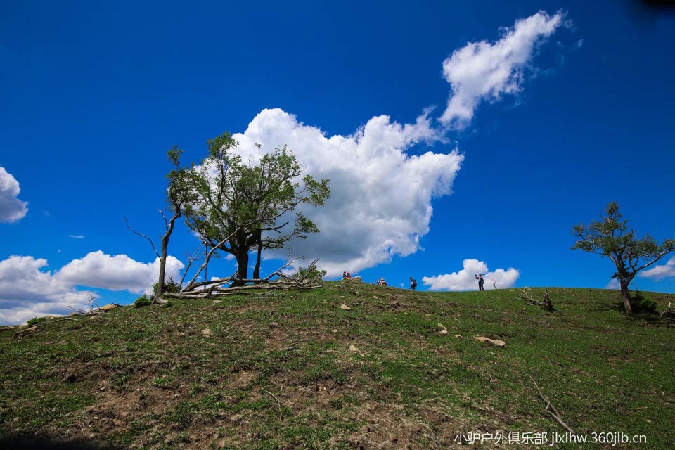 YJmVfI_kYNfjVE8W8hAgAEu2-eycvWZXsK-1T8Dh_Nn-3FzuK_MrlIbETKnoD0xy