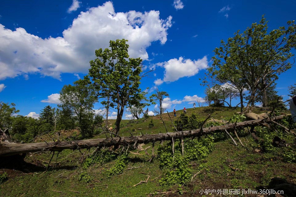 YJmVfI_kYNfjVE8W8hAgAGghlwqKkXrQIiKsLVDd5JFC1Fx696sgJkr_Cy_GP9As