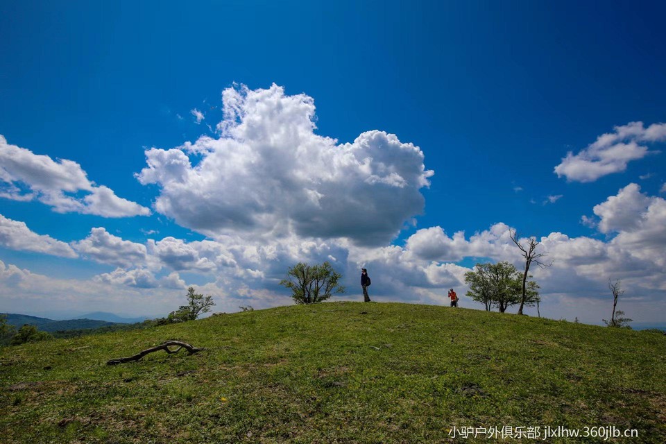 YJmVfI_kYNfjVE8W8hAgACIDInKc1X3BnBTCtscgsn-qwP1ppY2qlBmqjx5wMmaH