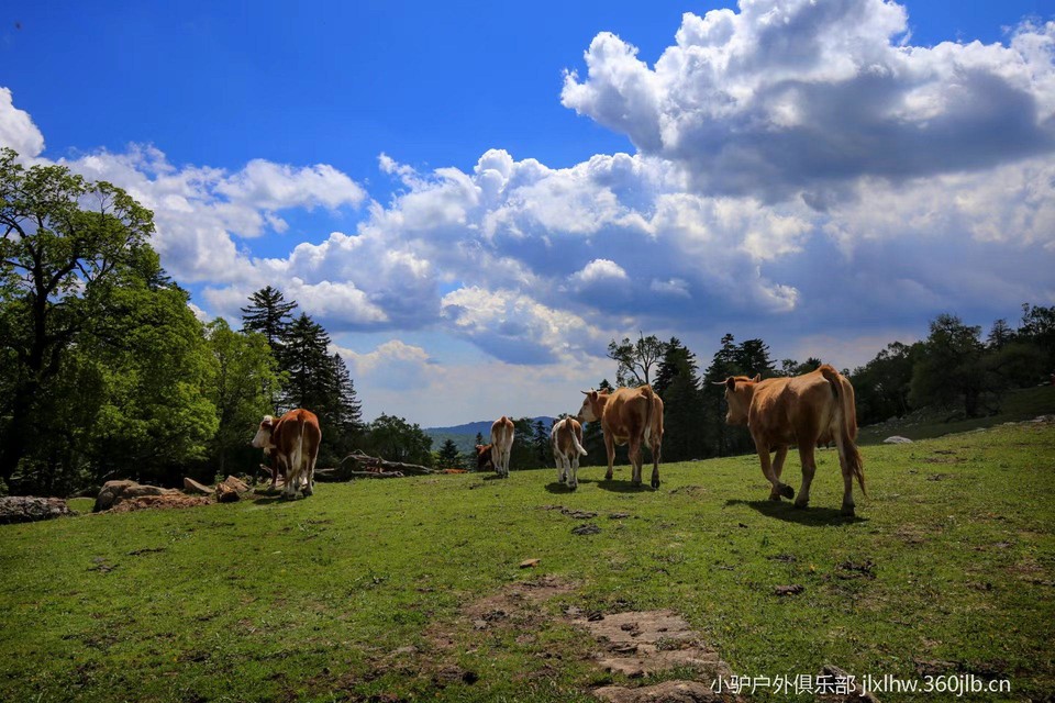 YJmVfI_kYNfjVE8W8hAgAMFo9IU1tsHVx3FblCVUvfKTpdrTchXVOW35n9nCk_kM