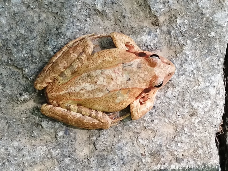 3COZbvwG-KJK4V-CdQIv5UAFpNmrOt4Pce6MD_e6IO6bdFF3jym0GM70-JJWqSSl