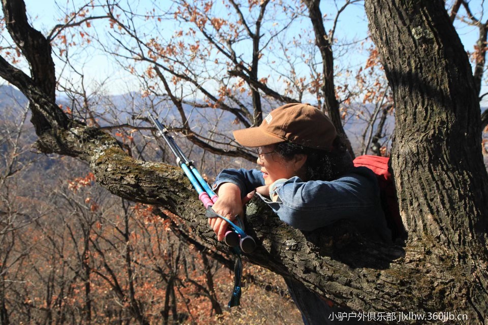 Zm1-mfFXvsgv9isV_Qxag5gucmbEFQPjg9BEfka5NVxlY5D6tDzwWhkS90ywTXt7