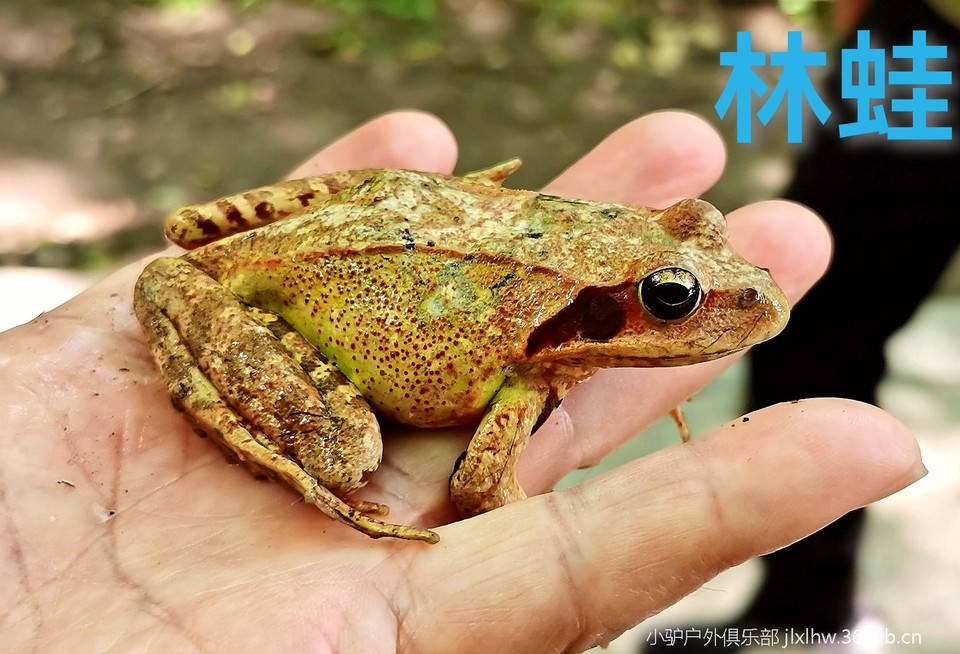 xwkhlTIpNjINql_lIR19BmMb0yXr3hwUXfTJVAtnKPpgwVtHBLH2q2quqwnWEnS_