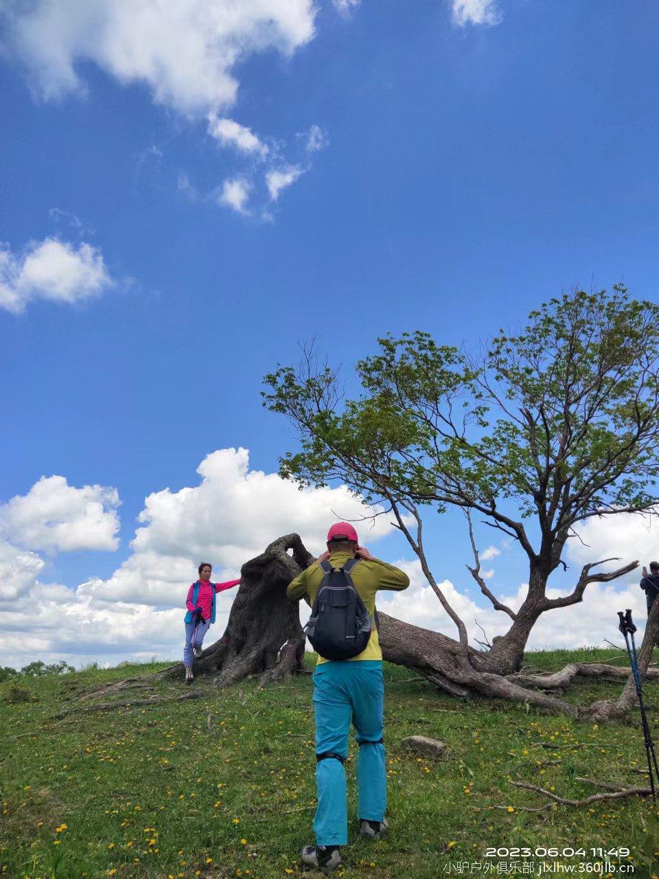 0Iv2YliO_1Eed0l7napQ_dar0TFgLesN60D4EASV3Z0stBAqJ3Ox-6x-S-v1IbJe