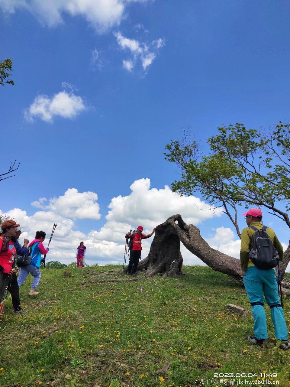 0Iv2YliO_1Eed0l7napQ_Y5MjHo3MRxJRzhMp3djGwhixcJb49x8cTPy2DHGesnT