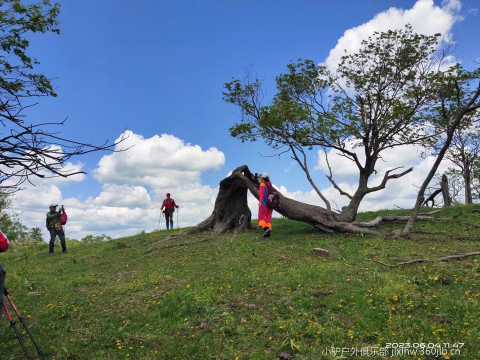 0Iv2YliO_1Eed0l7napQ_fTT3NJjuHixIxGYDcKJczz8M99ameTC2tVQJxfBojmq