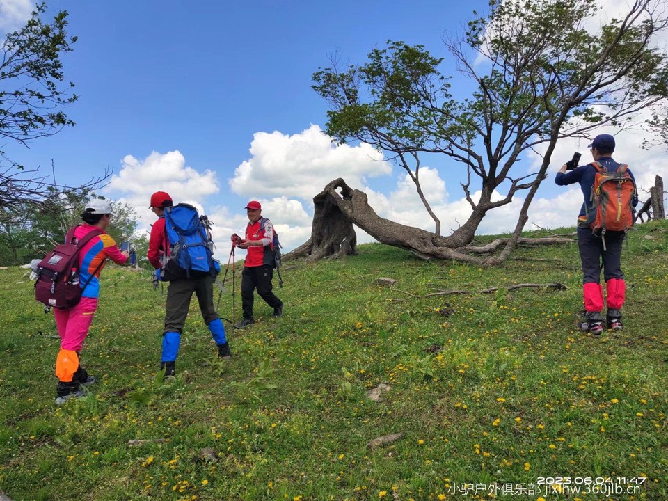 0Iv2YliO_1Eed0l7napQ_TCJZwywjksUPkYc_CED97CAIaV67Cv3skWh6ZCjo_pt