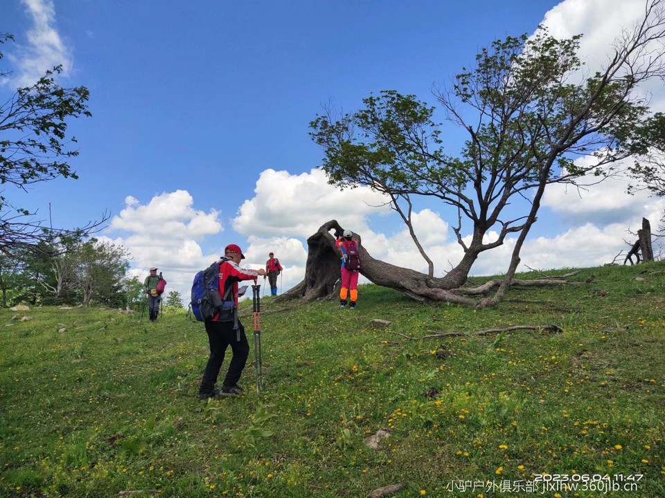 0Iv2YliO_1Eed0l7napQ_Z8yYkNqkUWtsM2xX01jEWmeY-1xUbNwC7kV4Sx7819e