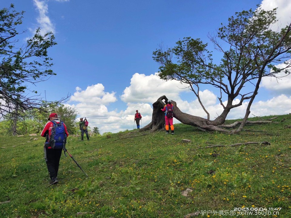 0Iv2YliO_1Eed0l7napQ_SFceXso1CezbQGab0mIZVjtRwO7va5eGdUN5RwfQuEP