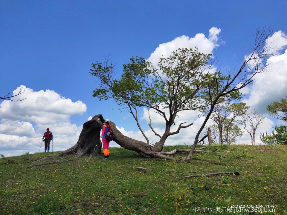 0Iv2YliO_1Eed0l7napQ_bkUKBMRhHXreIAyFEhdcc7YvZDx0QhlnlbKq_MXcysc