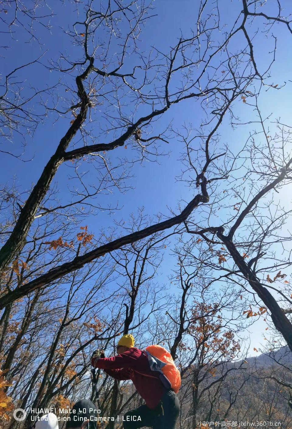 7FSMrIoJ5yQtOAb83uenHwkapNFVXJiMRv1yIYDzZNBXL9O-eN97G1KhnbIUbjYd