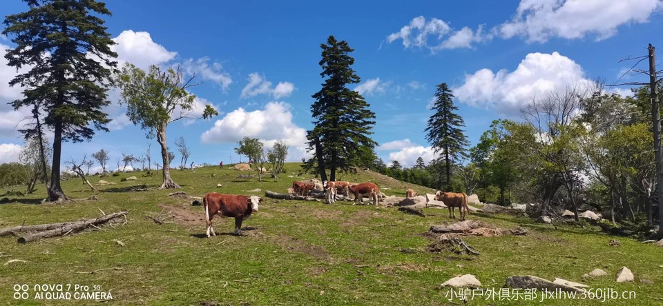 VgoyQ9BiYeMQsEAK3ox2RIiU_pQ_RgFejhixja9kCj5TKslQnqsFS2ZgsJMjODGF