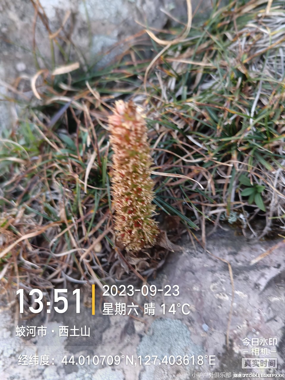 J5HRLHbKVDyFRR2m5rocaTce1f1jEZb6QSHAzQbtdD2GzmaxKd0biWRz4eALsJ_v