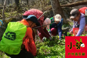 5月2日《王八炕采山野菜》休闲游