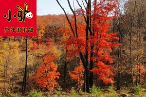 《苇子沟-西罗圈沟-松花湖边》徒步观秋景、赏红叶一日游