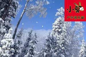 《西大王山》登山环穿赏雪一日游