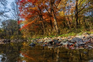 《磐石 · 漫红岭景区》赏红叶一日游