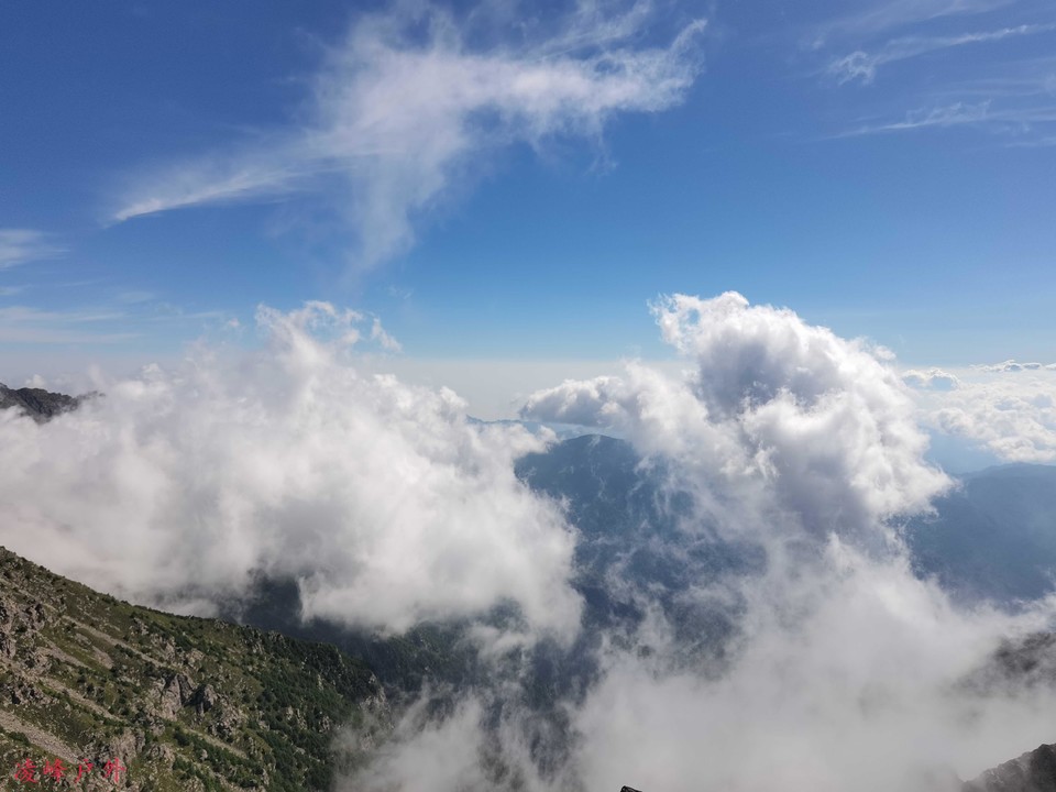 IMG_20220813_093914_compress