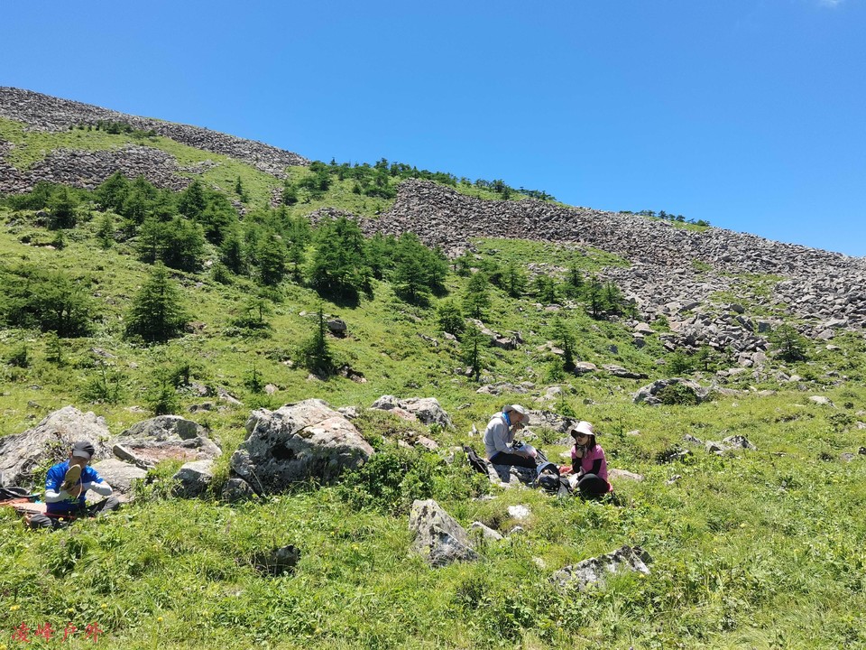 IMG_20220723_130317_compress