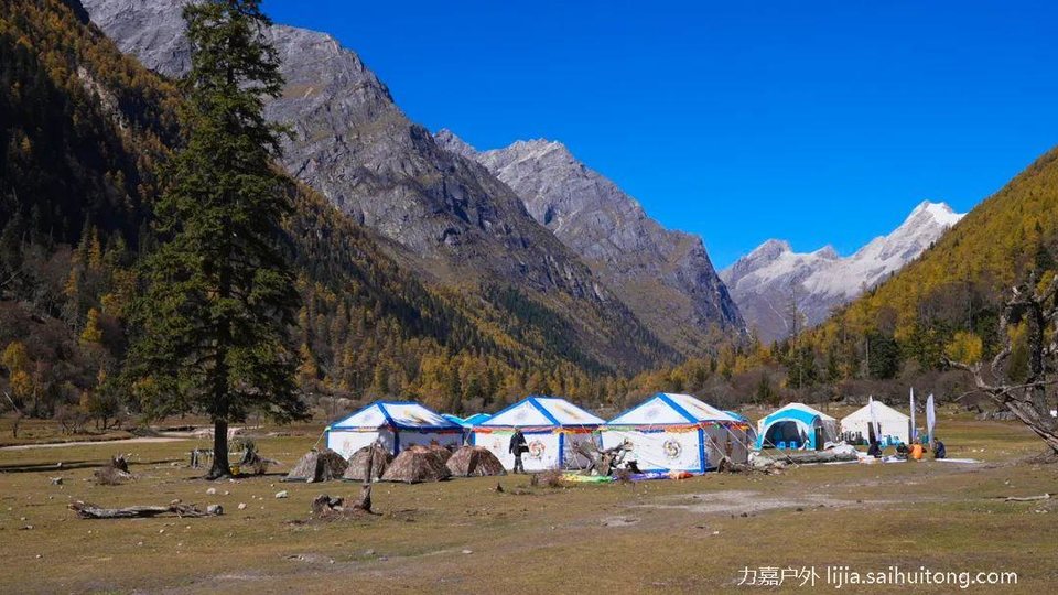 微信图片_20230723111229