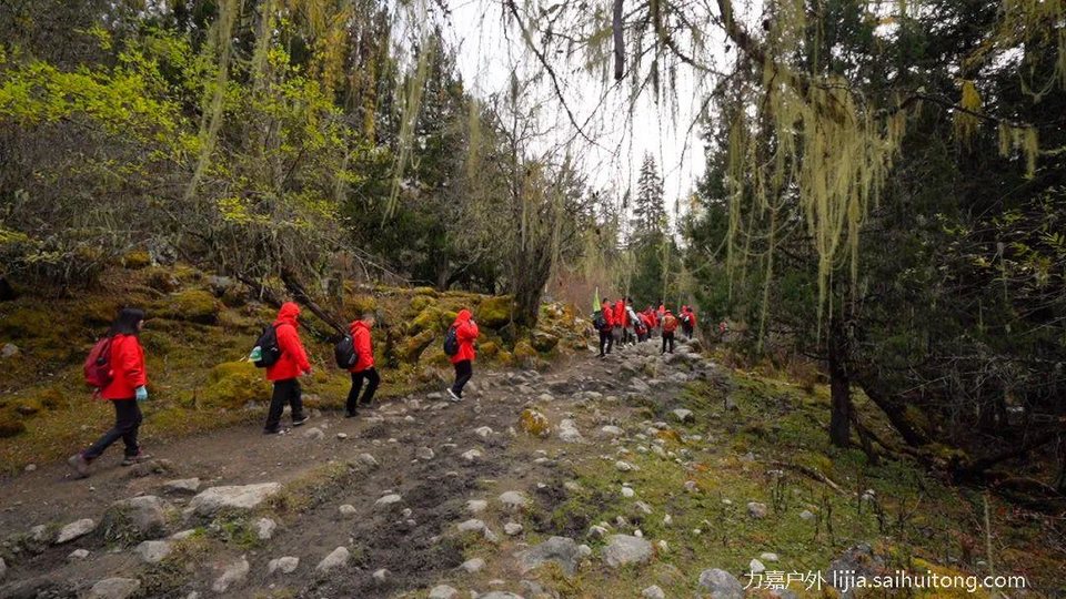 微信图片_20230723111234