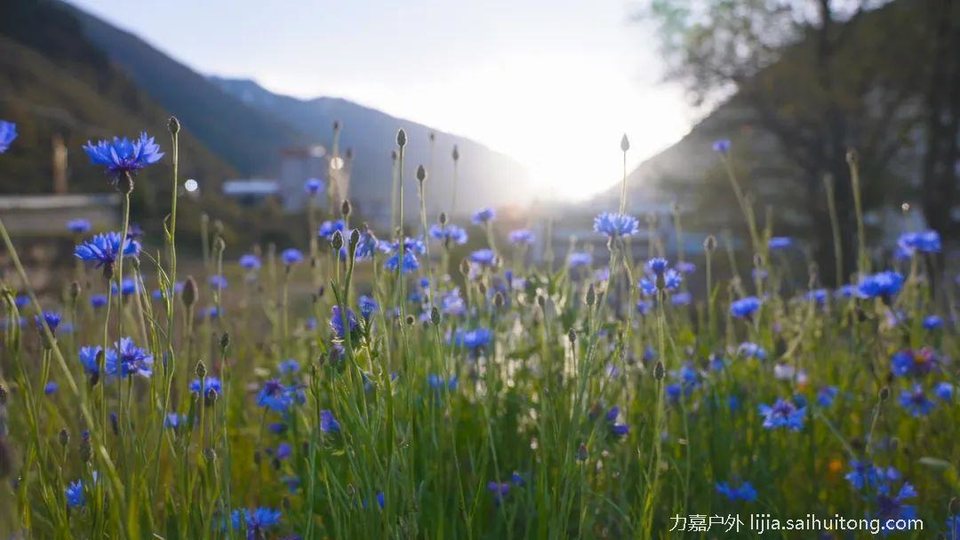 微信图片_20230723111342