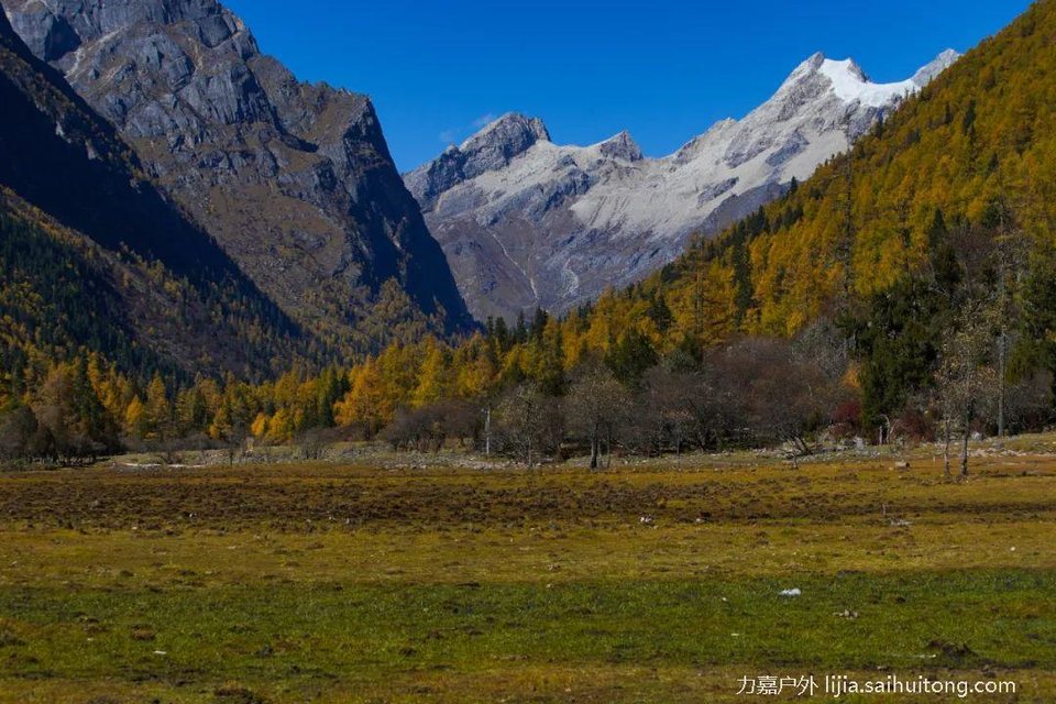 微信图片_20230723111345