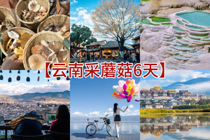 【云南采蘑菇6天】“蘑”幻云南·山野探索记·Pro｜6日｜2-7人｜夏季云南专属，野生菌主题深度之旅