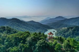 6月周末出发【绿光森林】增城古榄园乡村探幽、赏莲塘荷塘美景、尝特色烧鸡、增城“小九寨”白江湖溯溪戏水1天