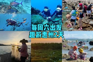 清明/周三六【浪漫惠州2天】入住一线海景房，打卡广东马尔代夫、体验海边冲浪、SUP板、皮划艇、浮潜