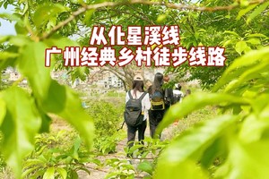 佛山出发【从化星溪线】徒步穿越十里竹海 感受最美乡村小径~-