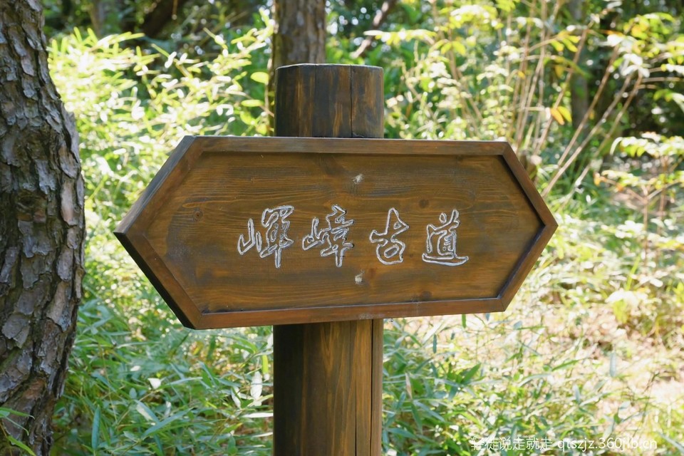 XHS_XHS_1694388072504_ae704833-6e59-4b5b-ac30-7dfed0f42d1331694388278588