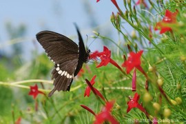 XHS_XHS_1694388072504_ae704833-6e59-4b5b-ac30-7dfed0f42d1321694388278400