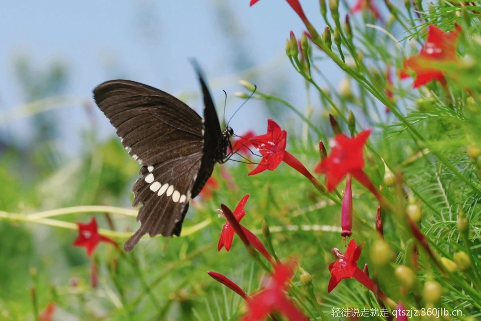 XHS_XHS_1694388072504_ae704833-6e59-4b5b-ac30-7dfed0f42d1321694388278400