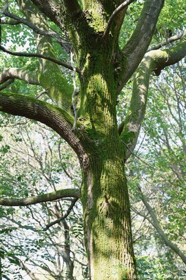 mmexport1694352808725